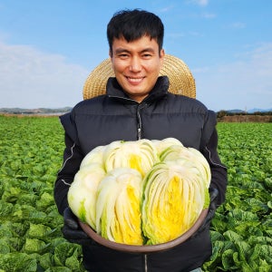 해남 명품 절임배추 20kg 치유농부 절인배추