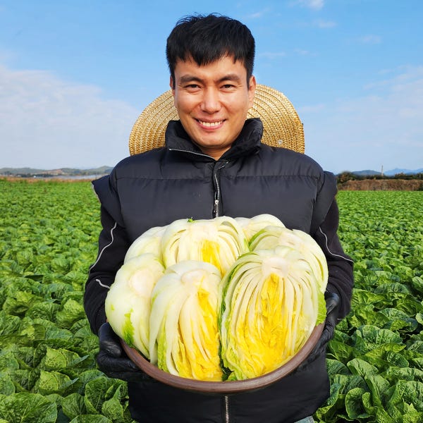 해남 땅끝 절임배추 20kg 절인배추 김장 명품 치유농부