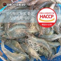 고성 공룡새우, 생새우, 국내산 팔딱 활새우 1kg