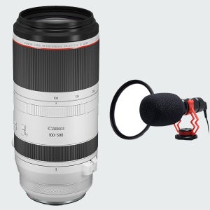 캐논 RF 100-500mm F4.5-7.1 L IS USM (정품보유)