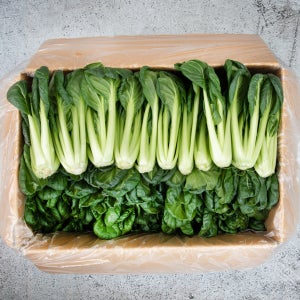 채소팜 다채 1.8kg~2kg 비타민채소