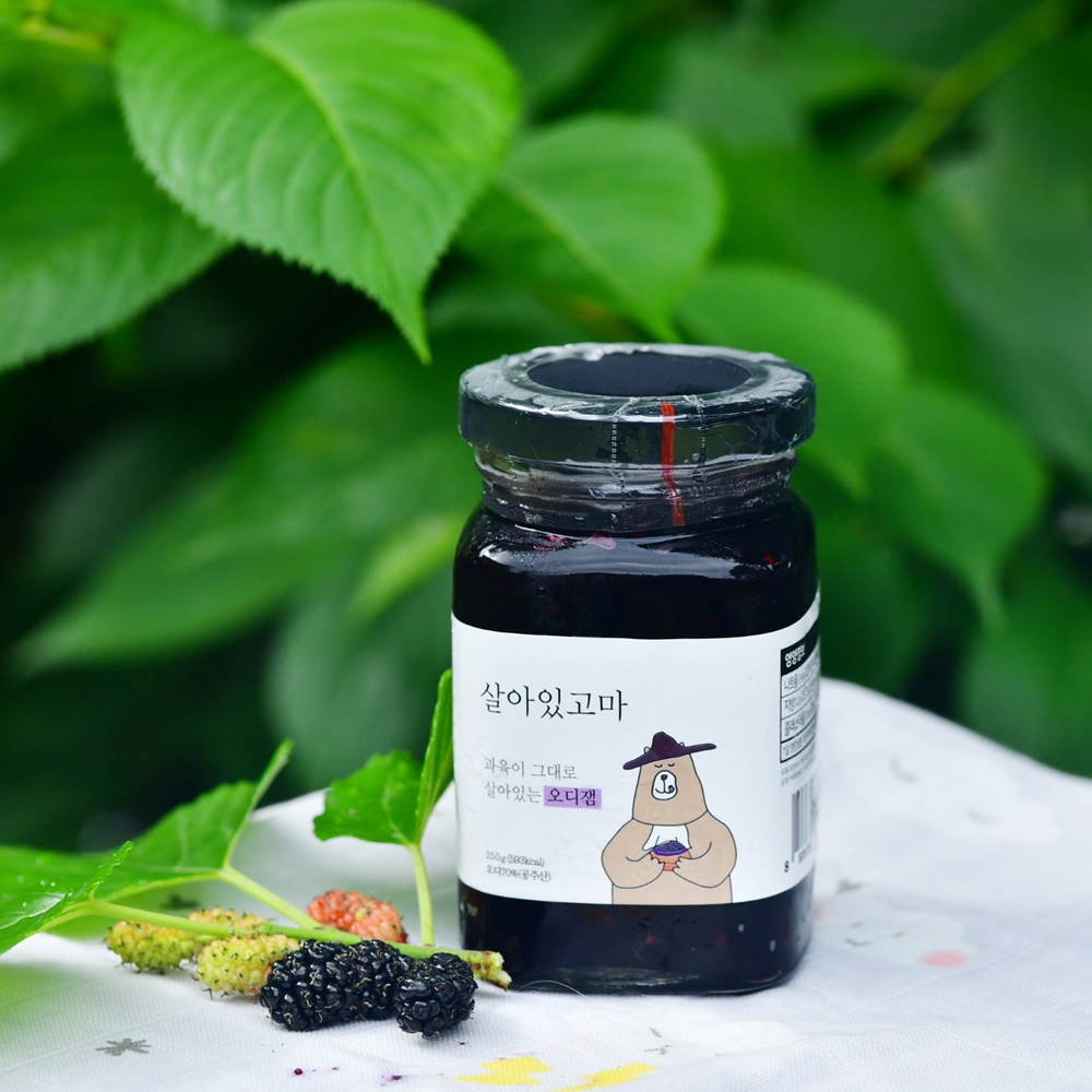<b>살아있고마</b> 오디잼 오디쨈 250g, 500g