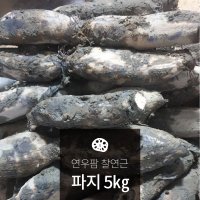 연우팜 찰연근 파지 5Kg