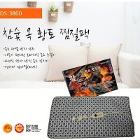 국산 대신전자 전기찜질기 참숯 옥황토 찜질팩 DS-3860