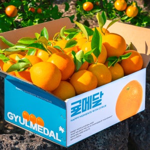 귤메달 제주 황금향 2kg 3kg 5kg 고당도 가정용 선물세트