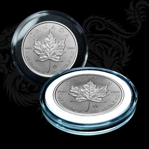 수집용품 스펀지형 코인캡슐 (낱개)