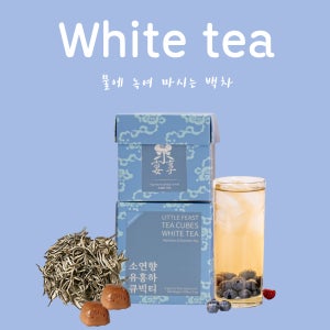여름하늘의무지개 백차 선물용 패키지