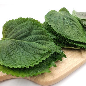 야채왕 깻잎 1kg