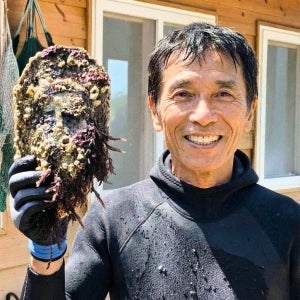 거제 삼배체굴 삼배굴 바위 삼베체 개체 크림 석화 큰거 1kg