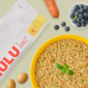 [룰루키친] 강아지화식 반려견자연식 건강식 노견 닭고기 수제사료 1kg