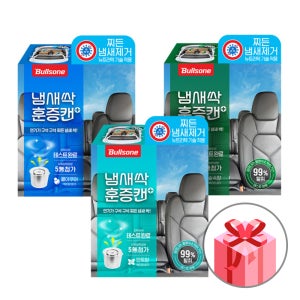 (+탈취제)[불스원] 살라딘 냄새싹 훈증캔 플러스 차량 탈취 냄새제거 숲속향