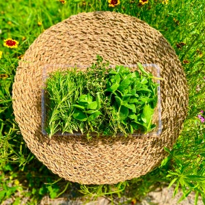 유기농 허브생잎(로즈마리+타임+애플민트) 음료데코 식용허브