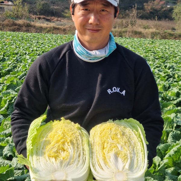 명품 괴산 절임배추 김장 절인 배추 20kg