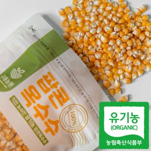 국내산 100% 유기농 팝콘 옥수수 400g / 구룡농원 팝콘용 뻥튀기 만들기 재료