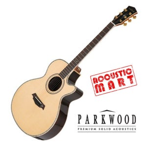 파크우드 P870ADK 어쿠스틱 통기타 하드케이스포함