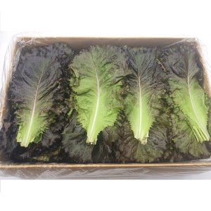 야채왕 적로메인 2kg(1.8k~2kg)박스