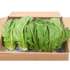 야채왕 통로메인 2kg (1.8k~2kg) 박스