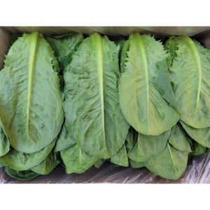 야채왕 통로메인 2kg, 1개