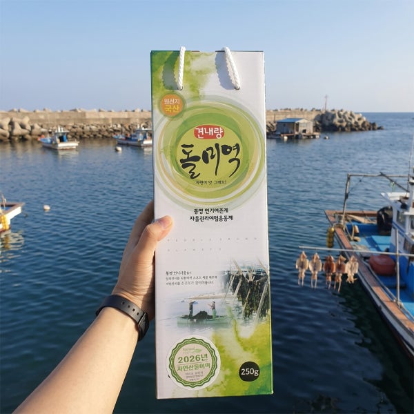 견내량돌미역 26년 5월 거제 통영 자연산미역 돌미역 250g 500g