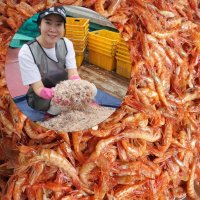 우리배에서 직접 잡은 북새우젓 신안 붉새우젓 김장용 새우젓