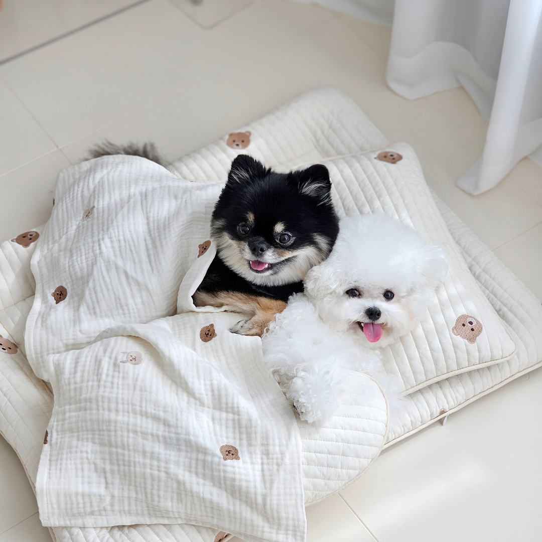 자수 요루거즈 강아지이불 블랭킷 담요 곰돌이 중형