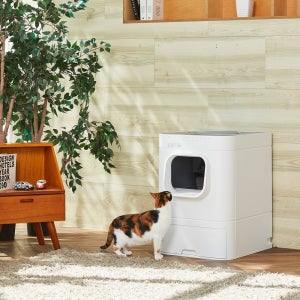 펄송 라비봇2 프리미엄 고양이 자동 화장실