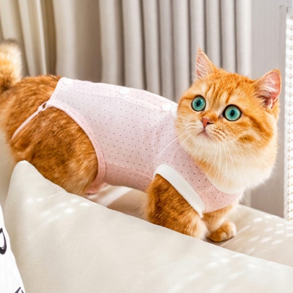 고양이 환묘복 코튼100% 환견복 중성화수술복 똑딱이 핑크