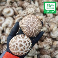 국산 무농약 표고버섯 생표고버섯 버섯 요리 1kg 장흥 표고버섯 참나무 톱밥 배지 생표고