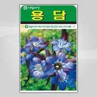 슬로시 꽃씨앗 용담1000립 씨앗