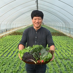 샐러드채소 쌈야채 1kg 로메인 케일 적근대 그린비타민 루꼴라 모듬쌈 산지직송