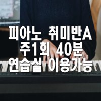 의정부 피아노 개인레슨 취미반A 1개월 수강권