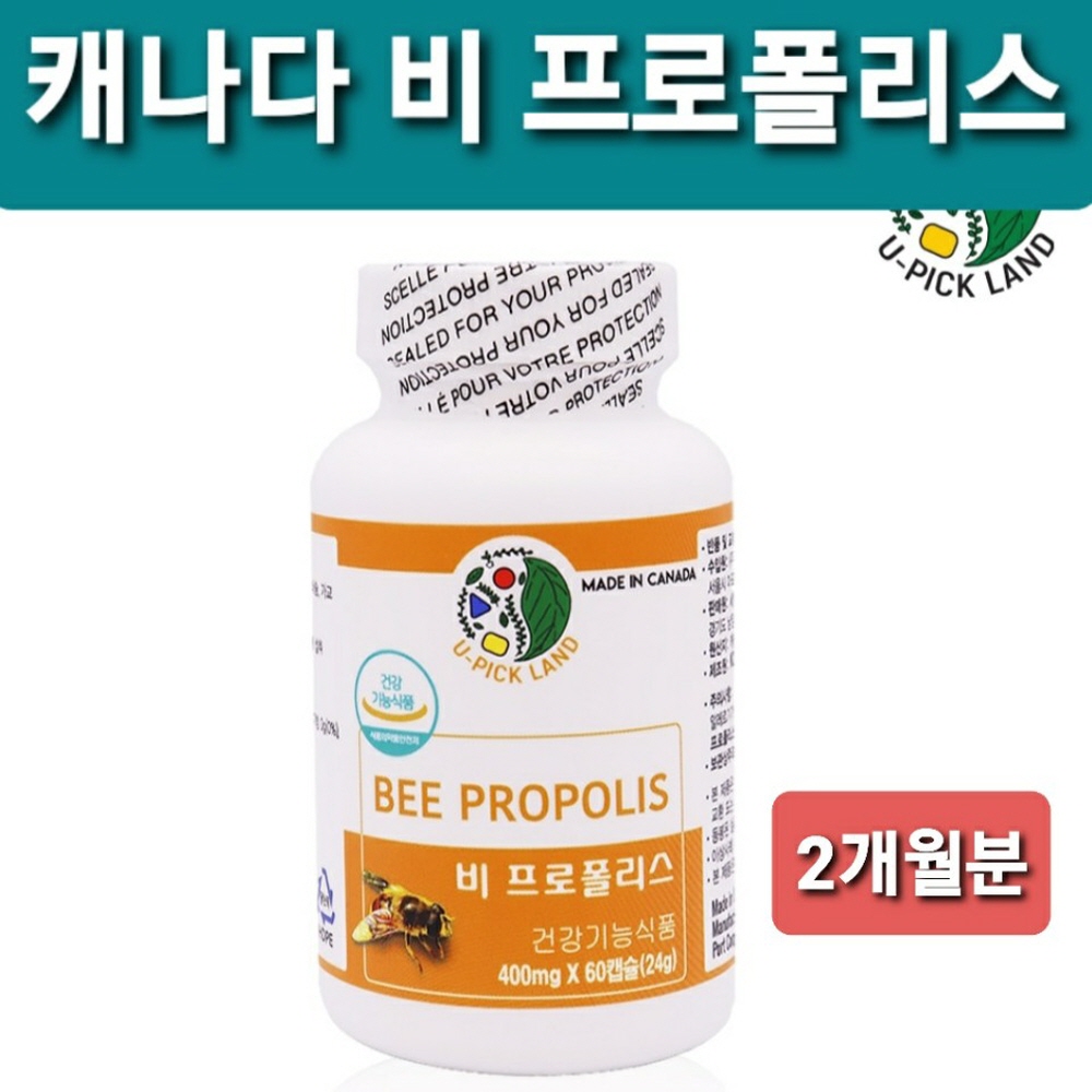 100% 캐나다산 비 <b>프로</b>폴리스 캡슐 고함량 플라보노이드 17mg함유 2개월분 식약처인정