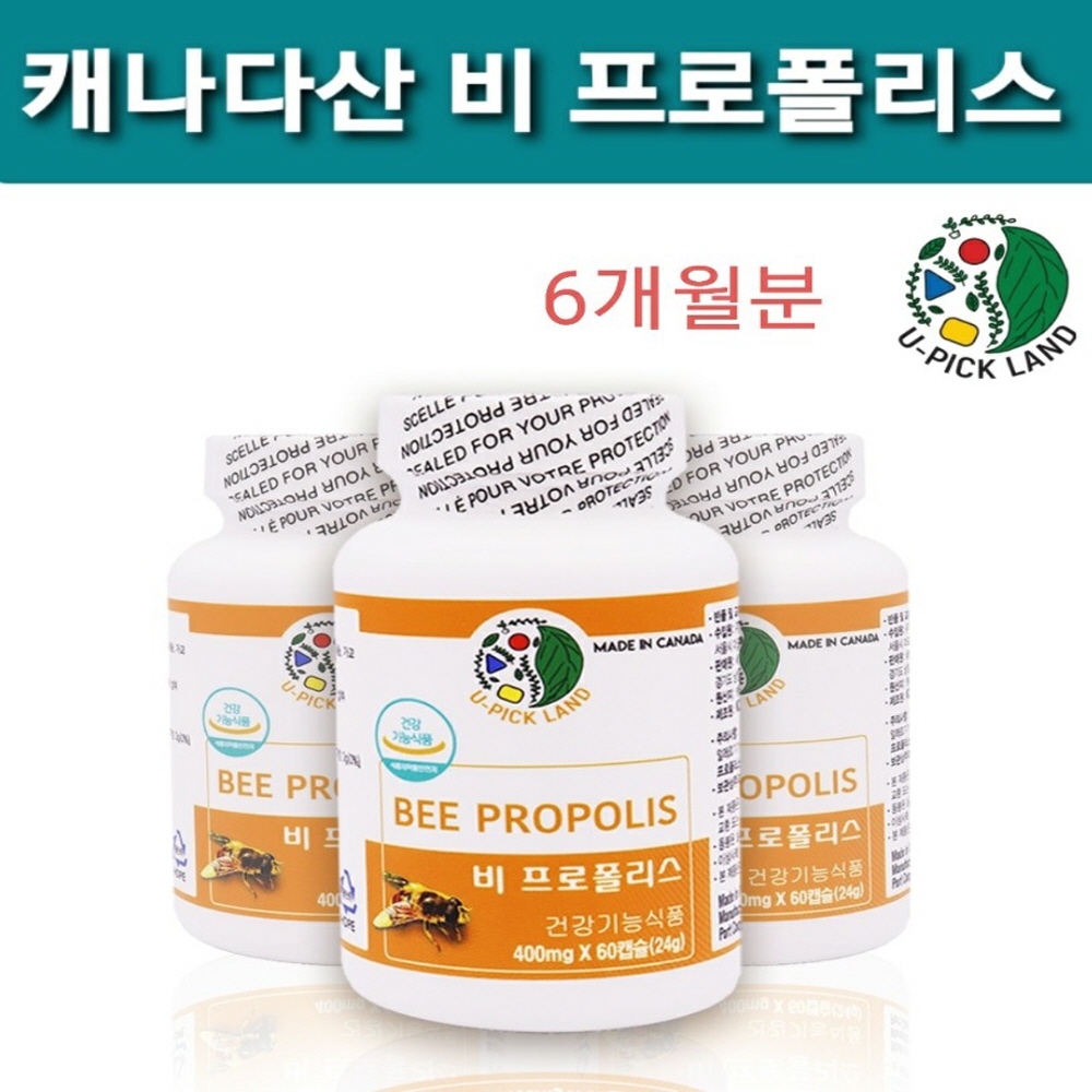 비<b>프로</b>폴리스 추출물 플라보노이드 17mg 180캡슐 6개월분 캐나다 직수입 건강기능식품