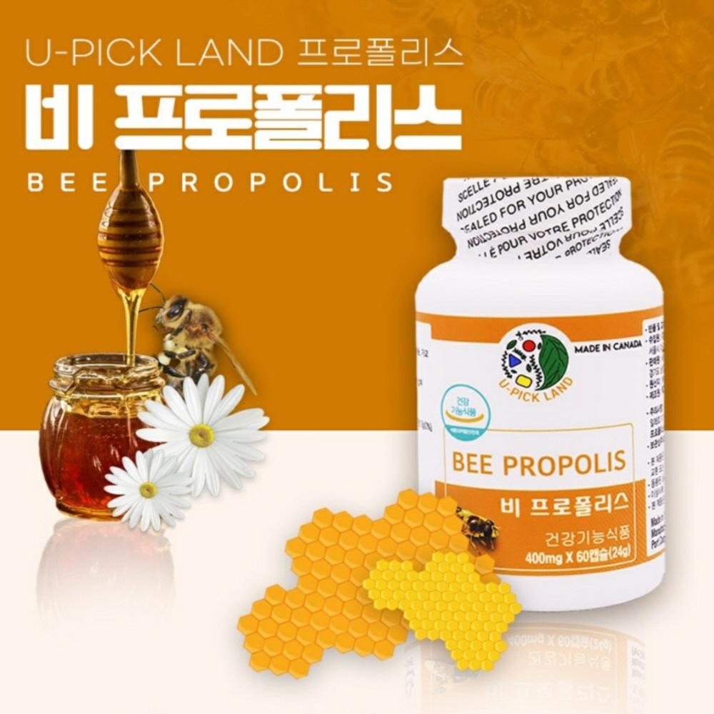 고함량 플라보노이드 <b>프로</b>폴리스 추출물 60캡슐 캐나다 산 식약처 기능성 인정 건강기능식품