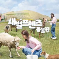 제주 새별프렌즈 동물원 / 제주도 동물농장 알파카 체험 테마파크