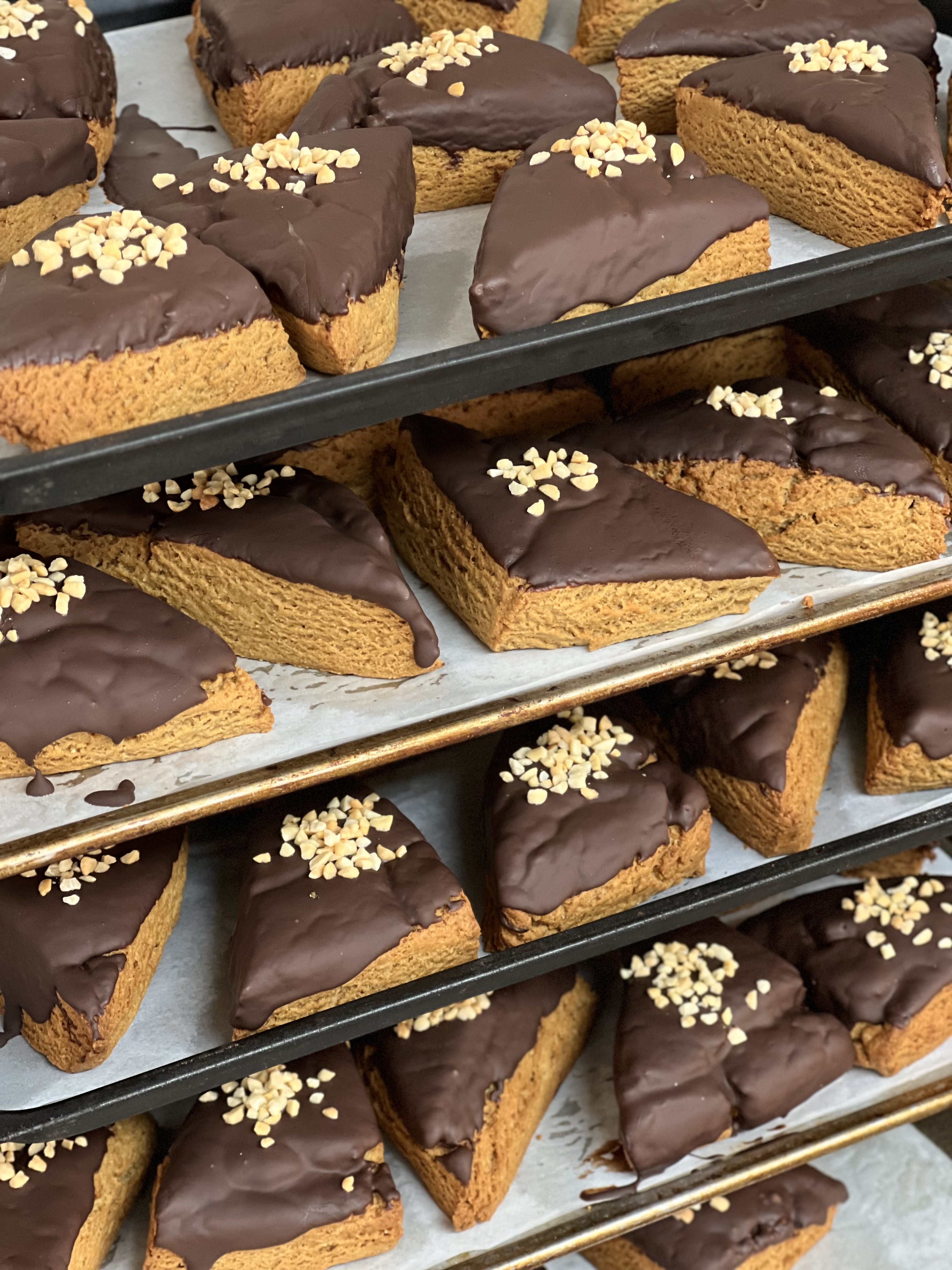 보스콘 100%앉은뱅이통밀 비건스콘 코코넛스콘