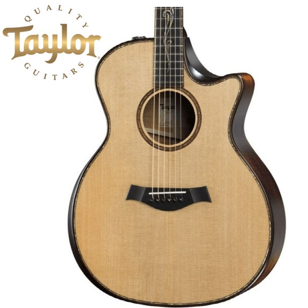 Taylor 테일러 K14ce 빌더스 에디션 V Class ES2 픽업