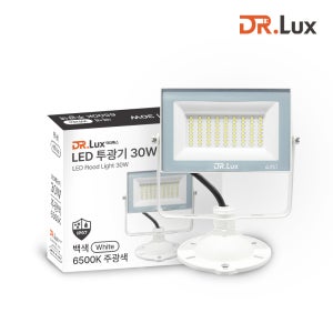 LED 투광기 투광등 30W, 주광색, 화이트바디