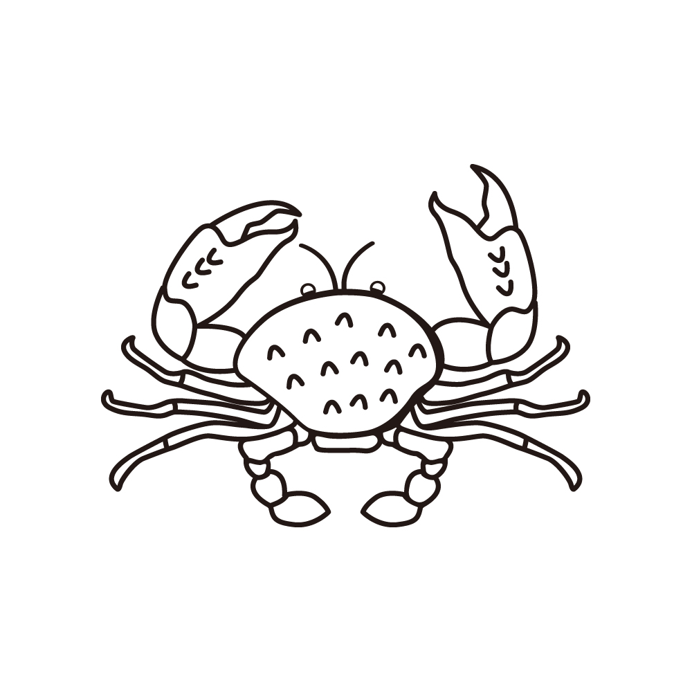 꽃게 차량용 데칼 스티커 자동차꾸미기