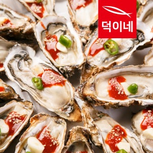 통영산 하프셀 150미 내외 굴 생굴 석화 반각굴 각굴