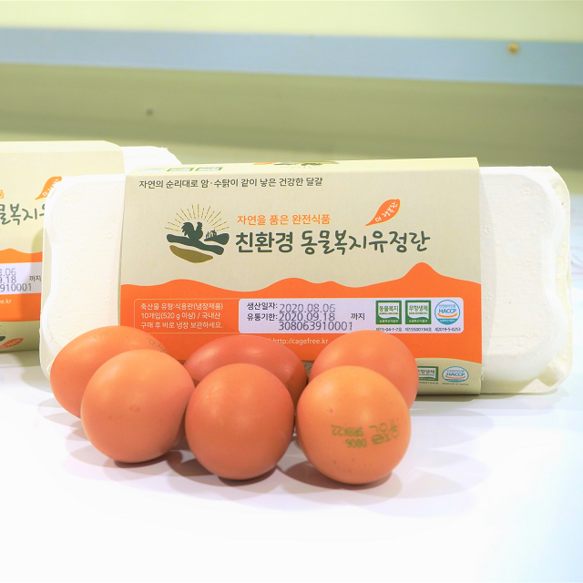 벧엘농장 이미지