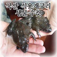 [국산]식용개구리 냉동 수컷 5kg 토종 100% 북방산개구리