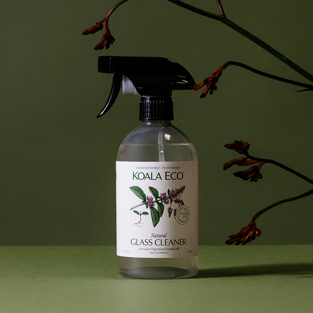 코알라에코 글래스 클리너 500ml