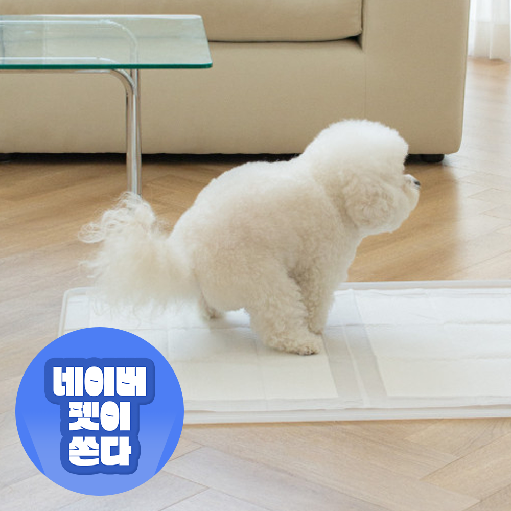 강아지 배변매트 애견 배변판 화장실 항균 실리콘 퍼펙트토일렛2.0 싱글