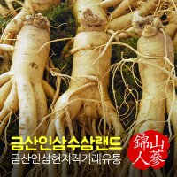 금산인삼수삼랜드 난발삼 원수삼 삼계용삼 무료세척 750g