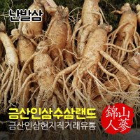 금산인삼수삼랜드 난발삼 무료세척 750g