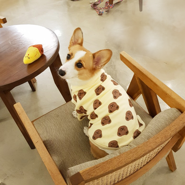 허니수니 강아지 곰돌이 기모 티셔츠 애견 겨울옷 맨투맨 웰시코기 중형견