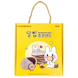 네이처오다 달칩 초코샌드 선물세트 20개입