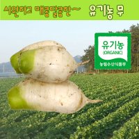 유기농 무4kg 수박무 과일무 무말랭이 레드 비트말랭이 무말랭이차 무차 무청시래기 비트차