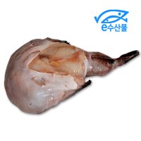 마산어시장 e수산물 냉동아귀 1kg이상 큰아구 아귀 아구찜 통한마리